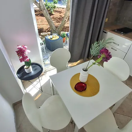 Albina * Τρογκίρ