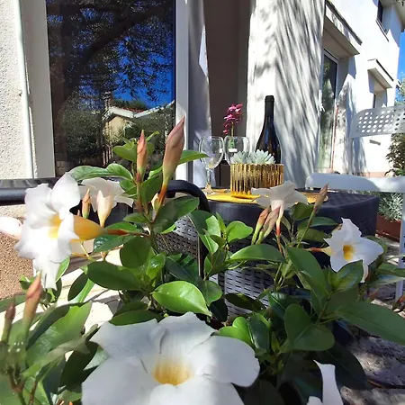 Διαμέρισμα Albina