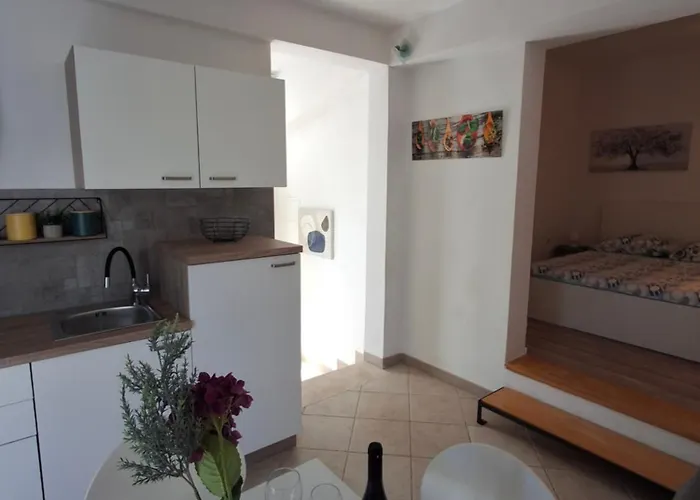 Albina * Τρογκίρ